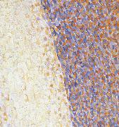 Georges Seurat Detail of Dance oil painting reproduction